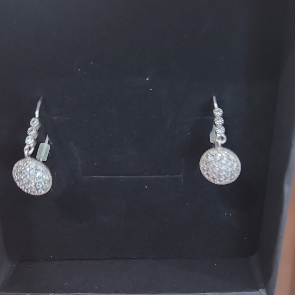 Sparkling Silver Pave Drop Earrings